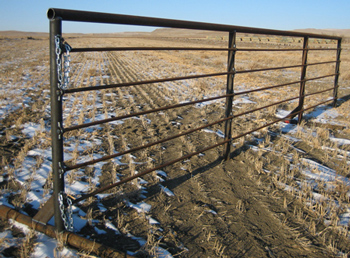 Freestanding Panels w/ Gates 24ft